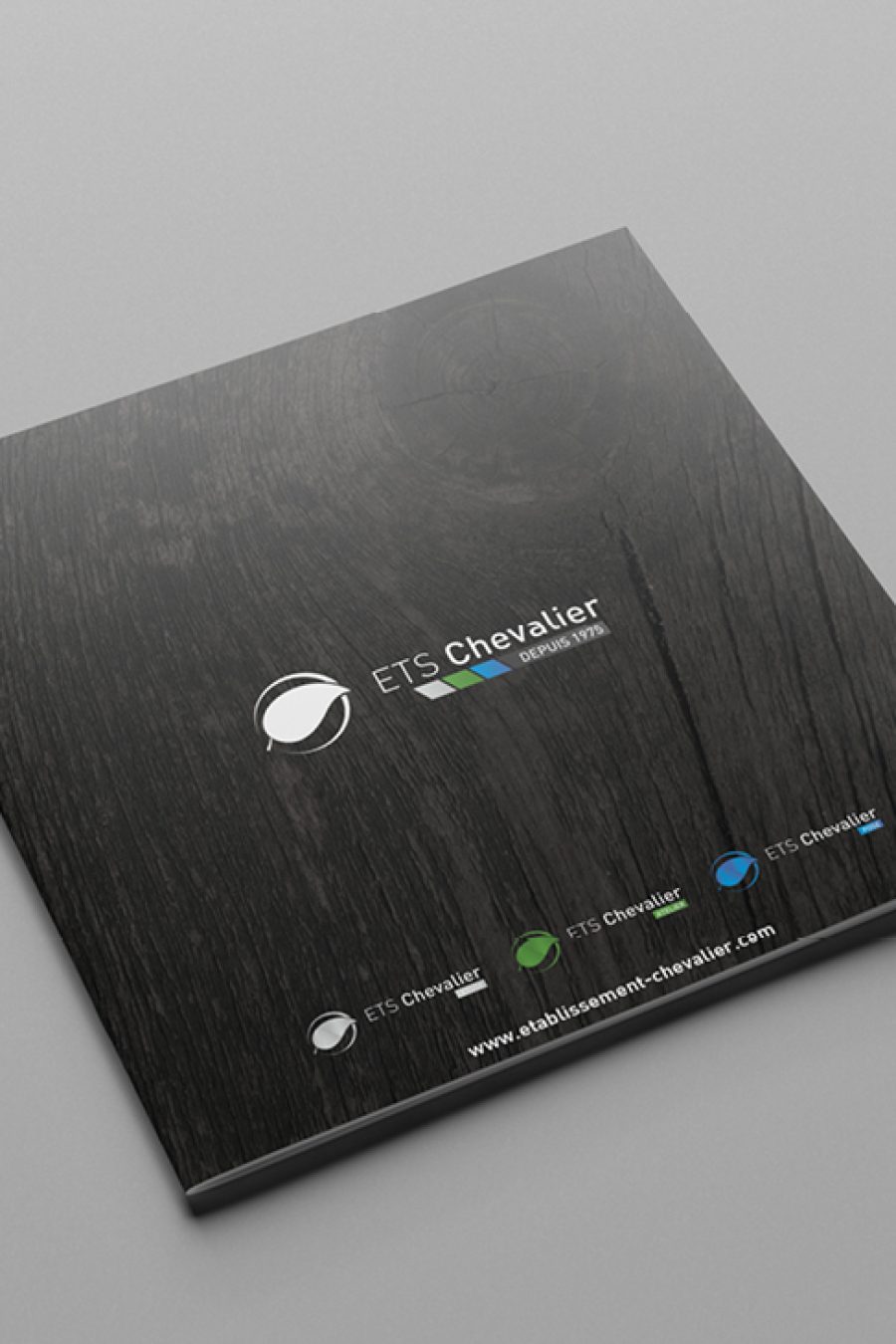 Brochure-ETS-Chevalier-L1